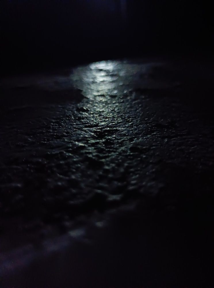 Photo #7692763