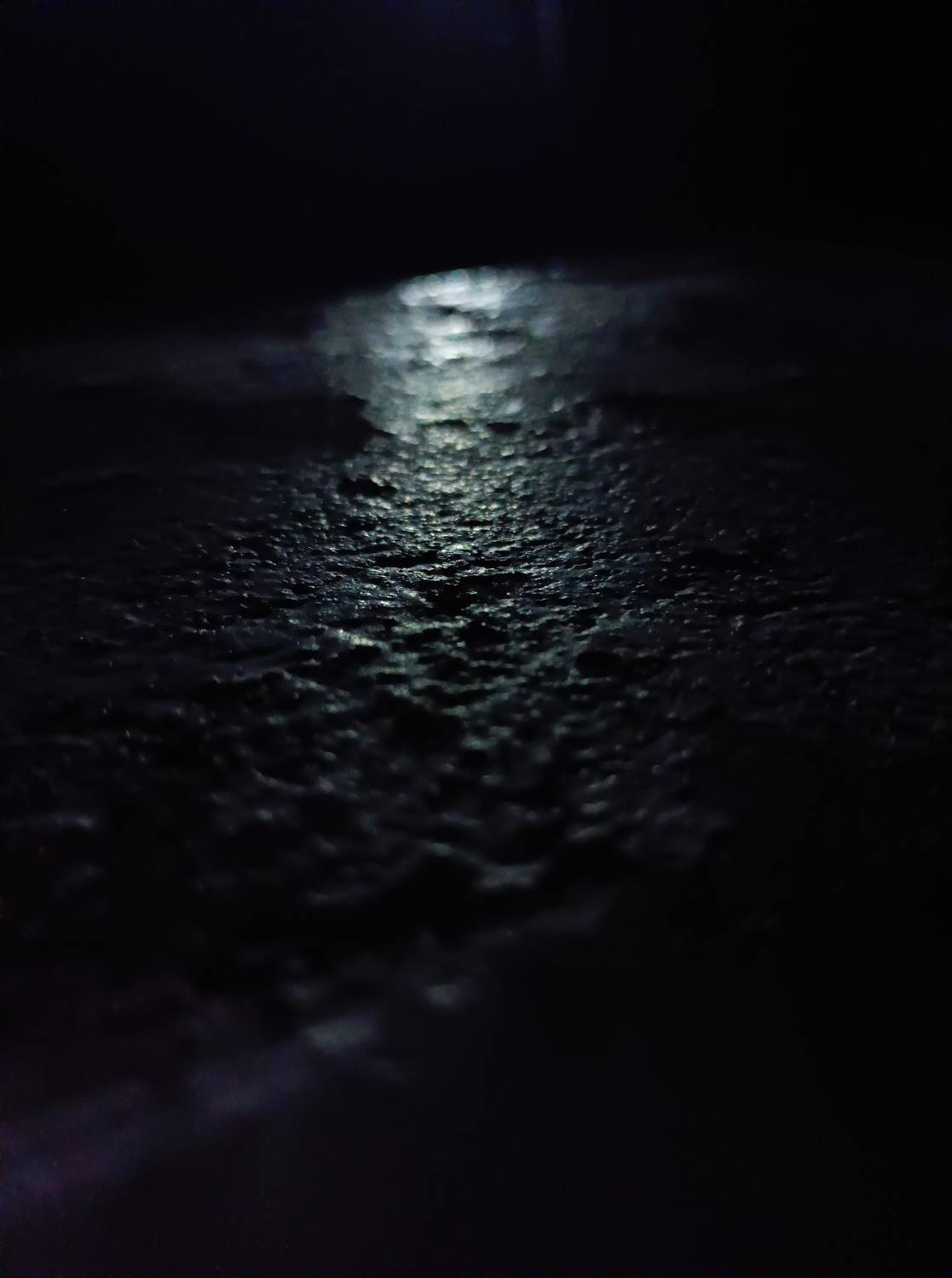 Photo #7692763