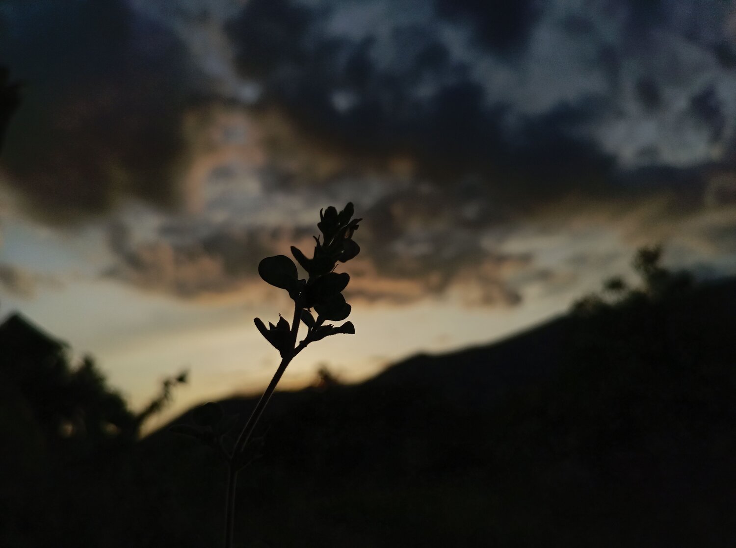 Photo #7692764