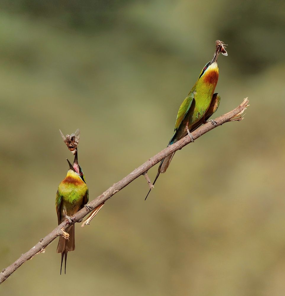 Photograph by Badal Parmar