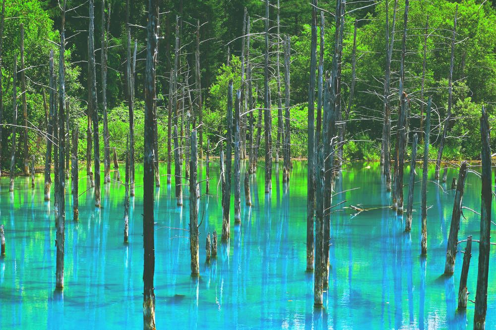 The bluest pond - Blue pond