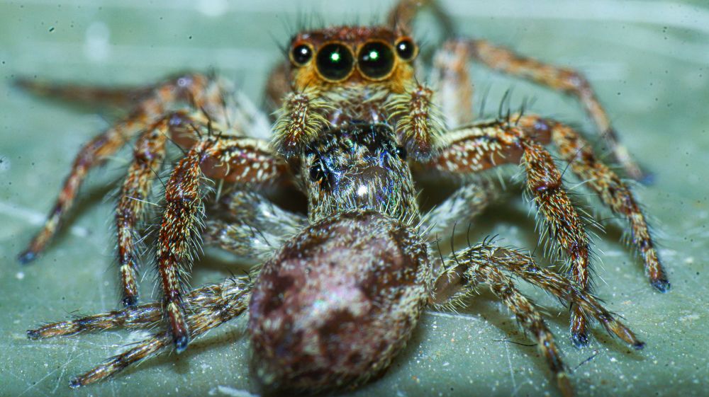 Photograph by Hari Nivas