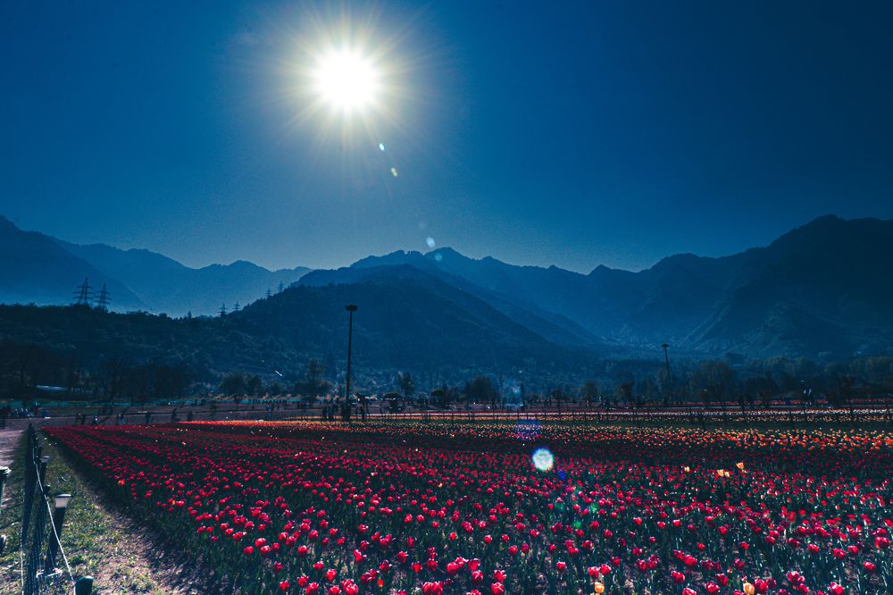 Photograph by Saptarshi Goswami