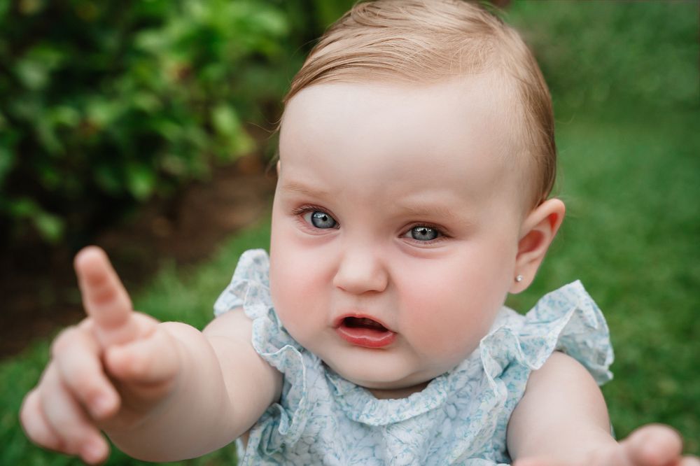 Photograph by Julie Roman