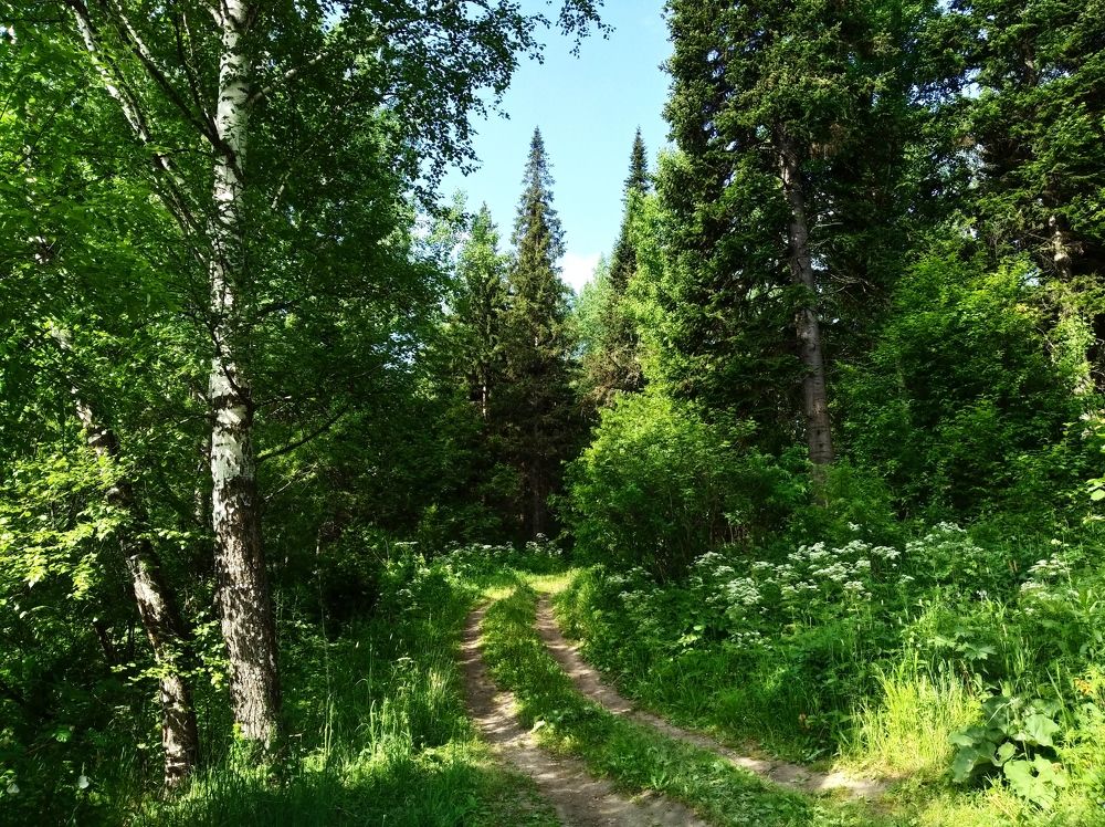 Photograph by Анатолий Майдуров