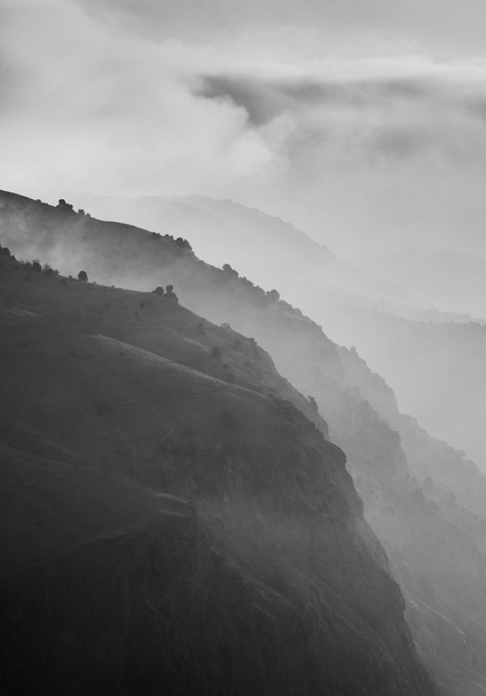 Photograph by Алексей Петров