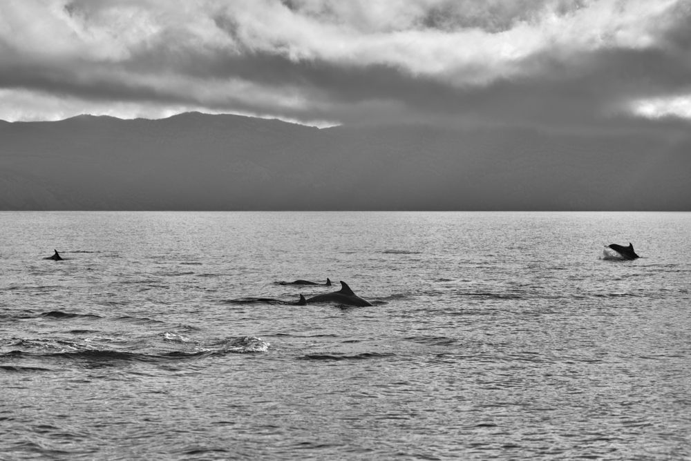 Photograph by Алексей Петров