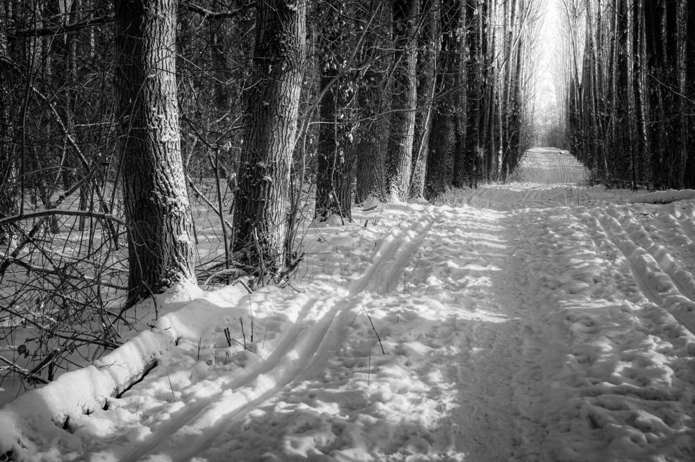 Photograph by Кирилл Богомазов