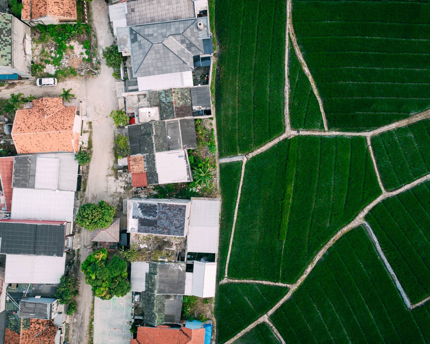 Фотография #7693008