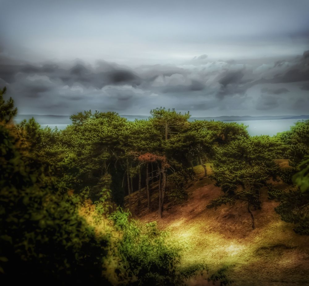 Фотография автора Nomin Jerabek