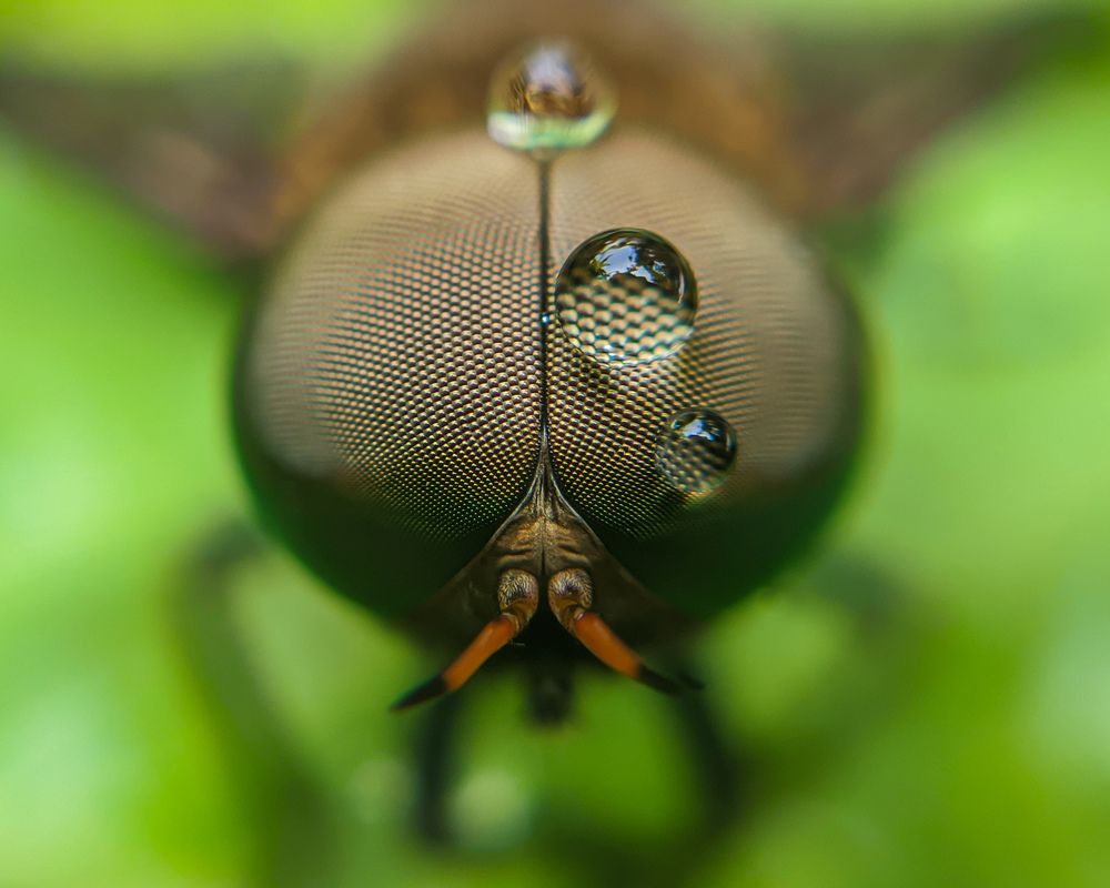 Photograph by Ajeesh A