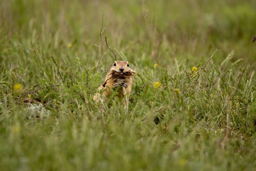 Photograph by Константин Шатилов