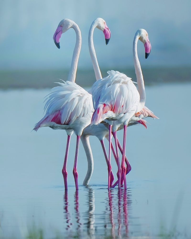 Photograph by SWAPNIL MEHTA