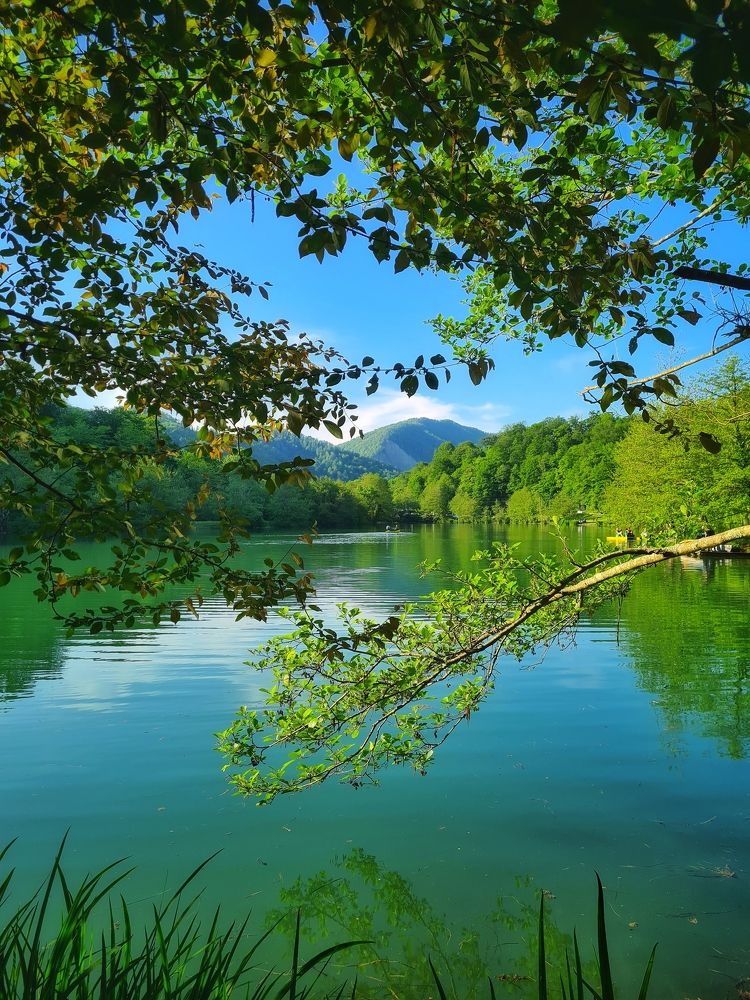 Photograph by Александра Мозаляускас