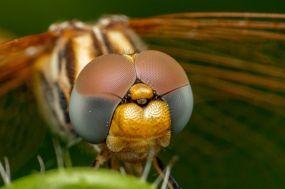 Photograph by servetkutsi@hotmail.com