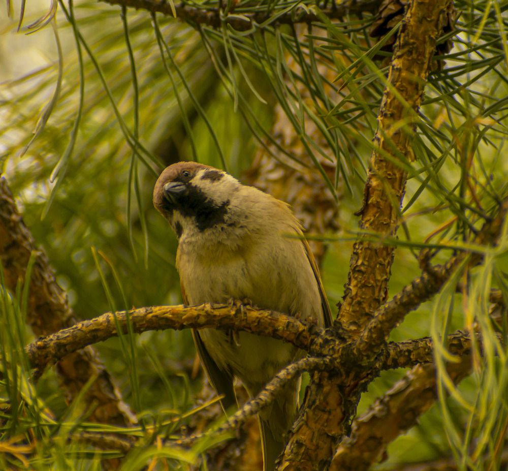 Photograph by Блохина Ольга