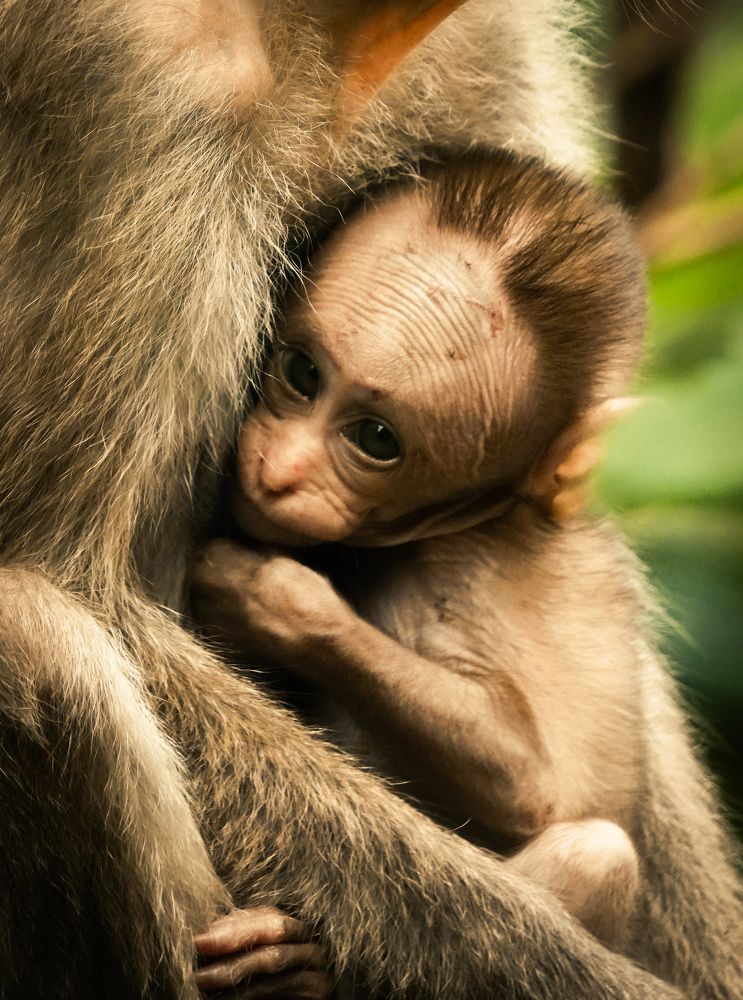 Photograph by Kishore K
