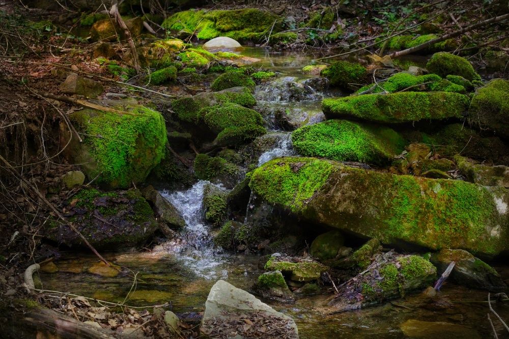 Photograph by Ralica Kitova