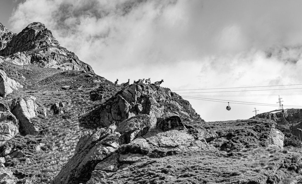 Мой неожиданный визит.