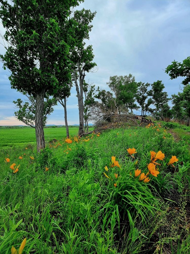Photograph by Василий Садовский