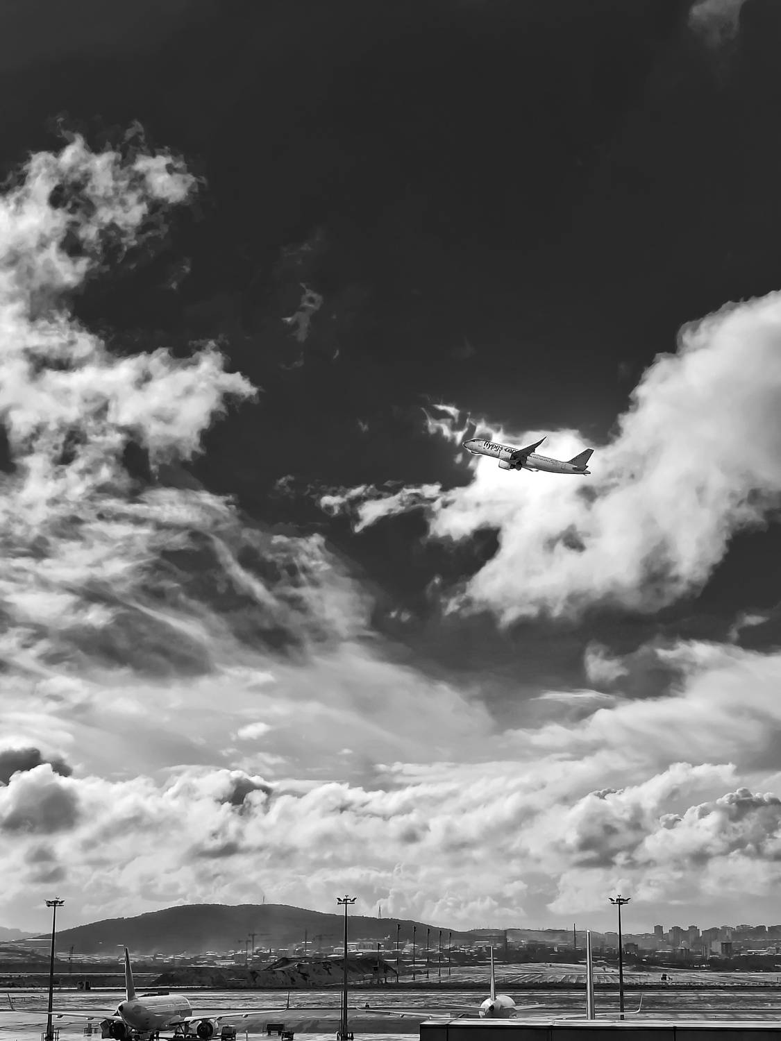 Photo #7693384