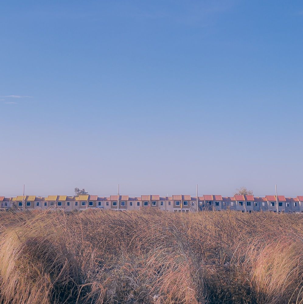 Photograph by Mary Ann Cai