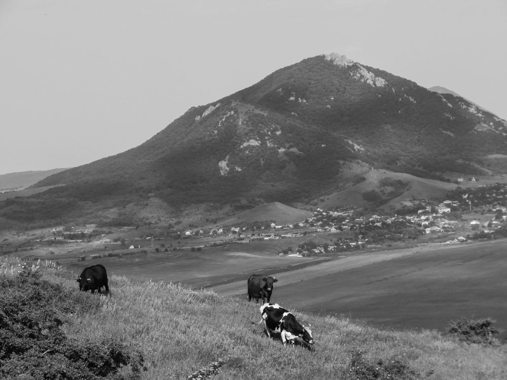 Photograph by Андрей Прокопенко