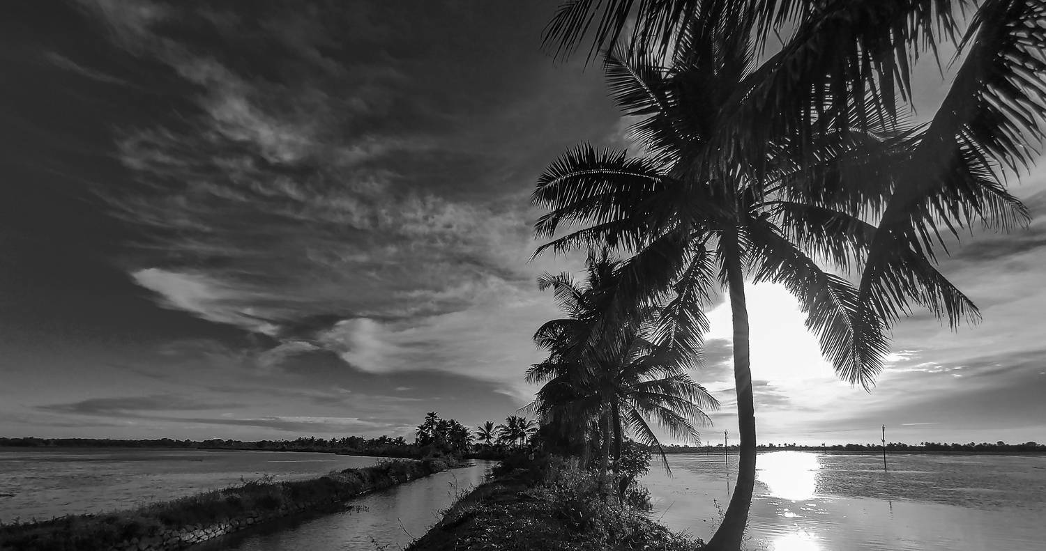 Photo #7693403