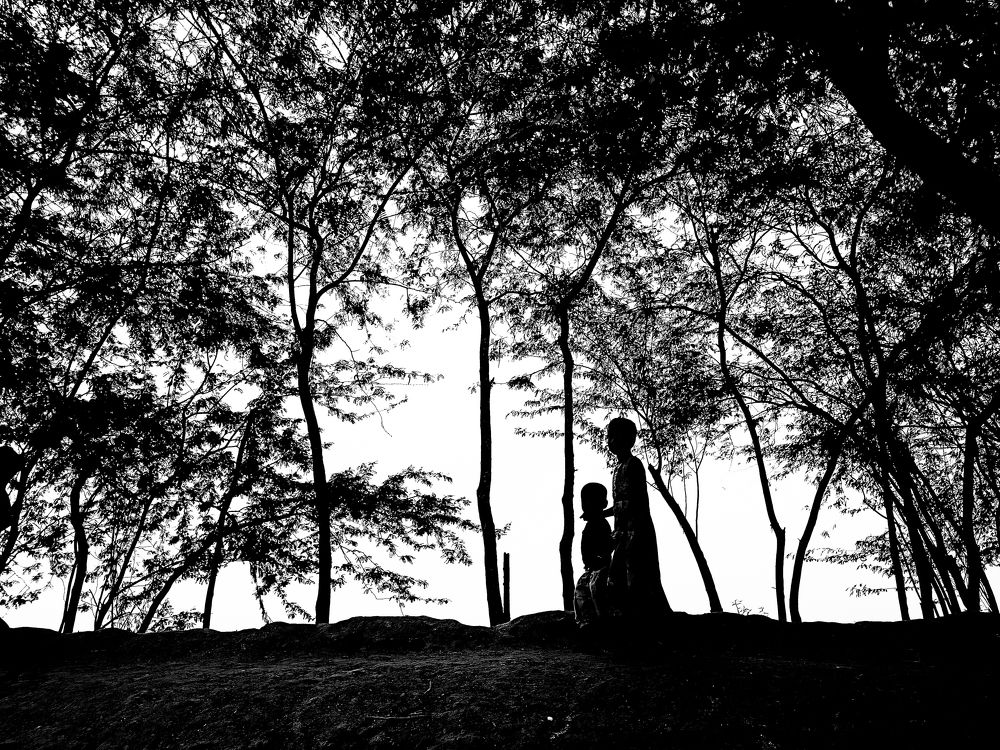 Monochrome