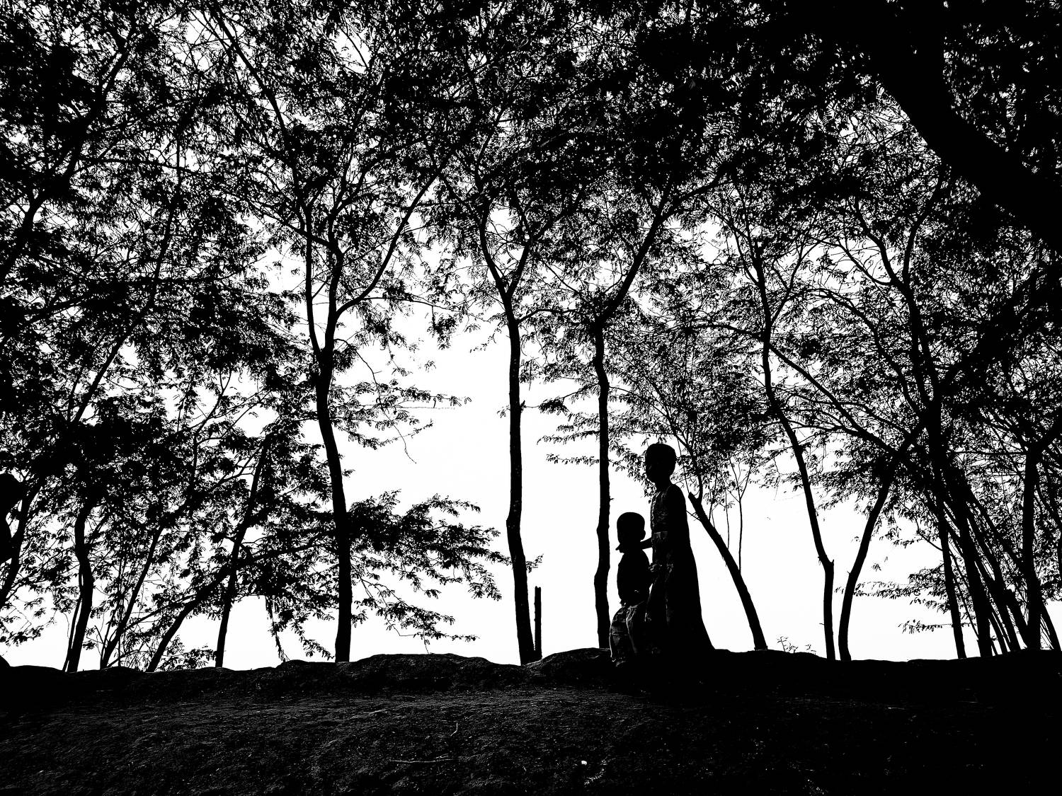 Monochrome