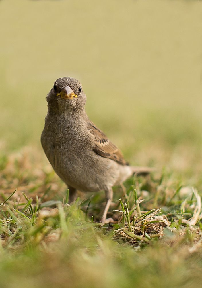 Photograph by Олег Карелов