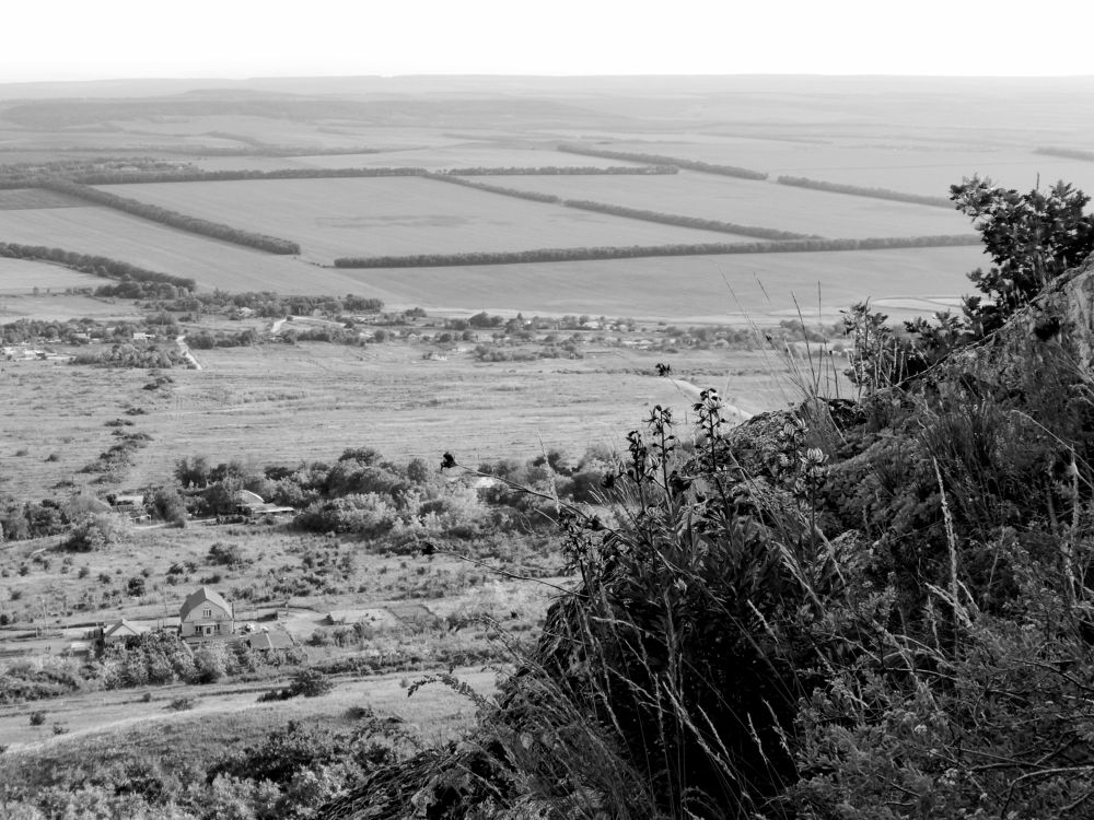 Photograph by Андрей Прокопенко