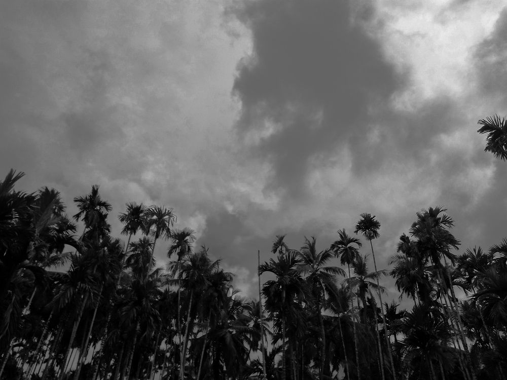 Photograph by Wilvia Dsouza