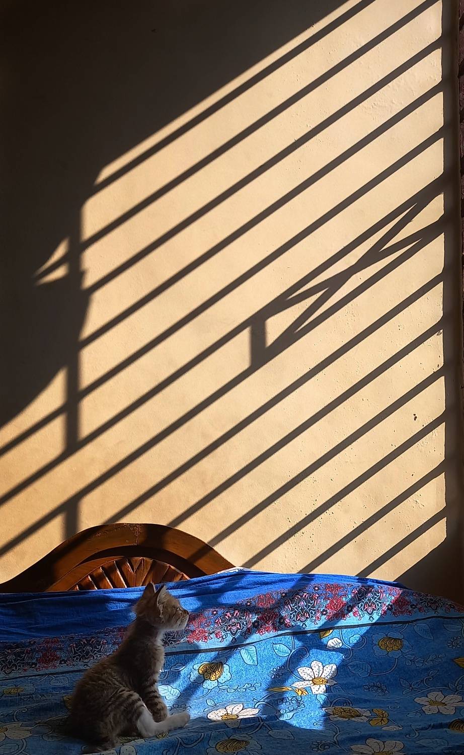 Photo #7693456