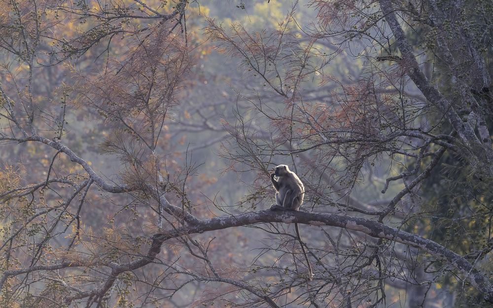 Photograph by John Anthony