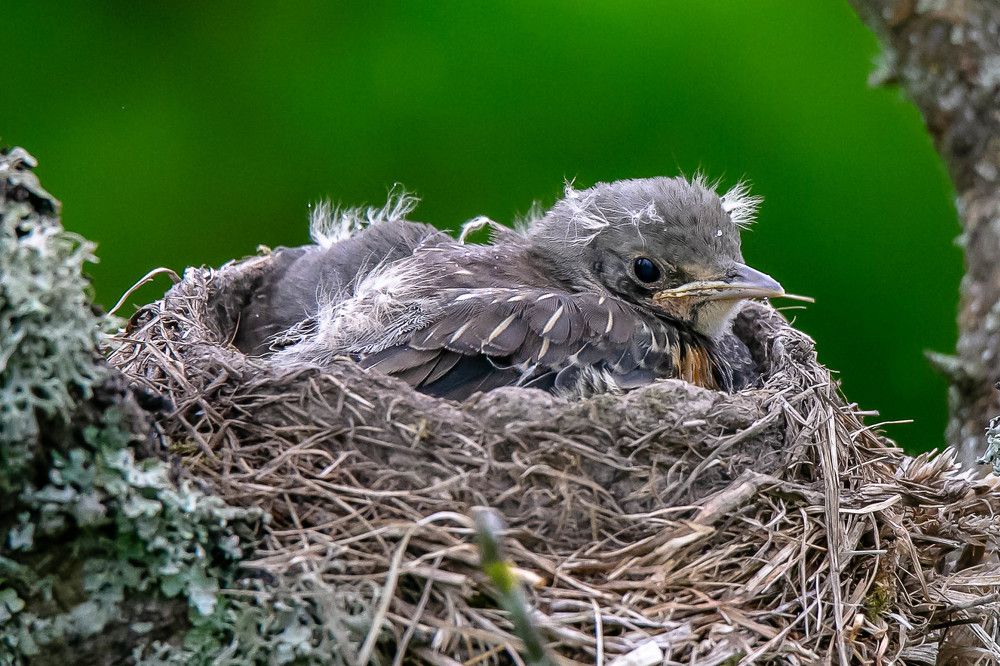 Photograph by Геннадий