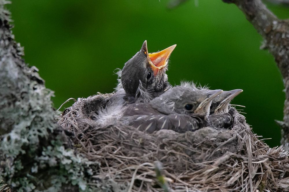 Photograph by Геннадий