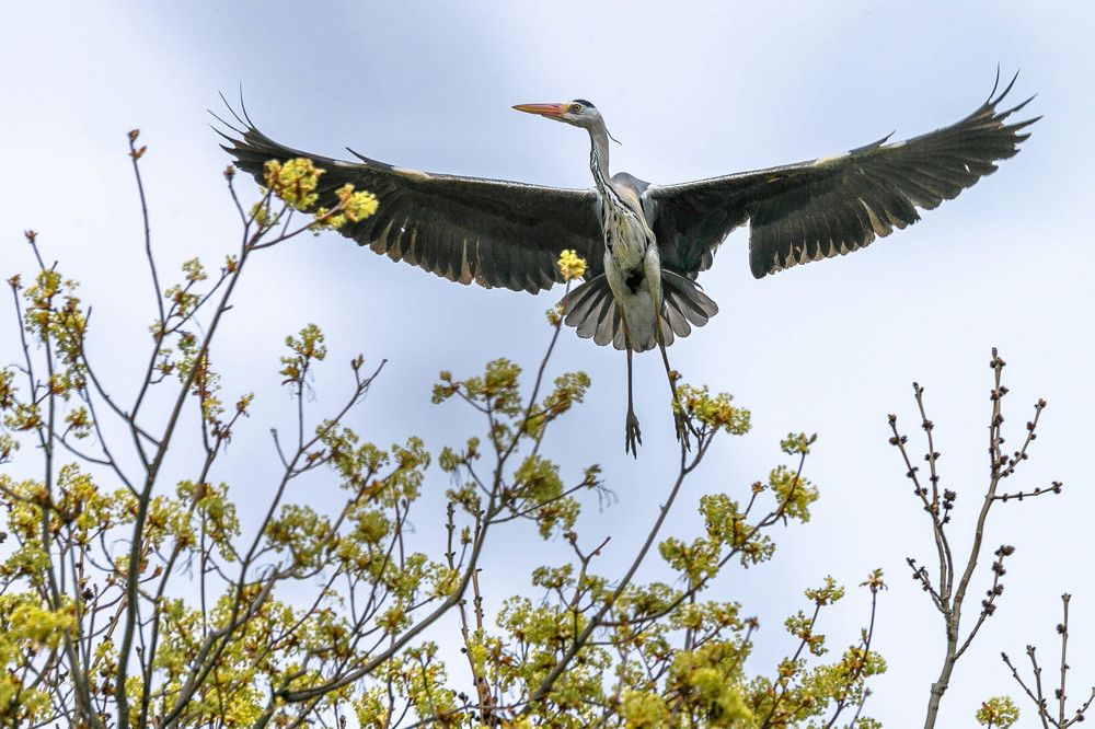 Photograph by Геннадий