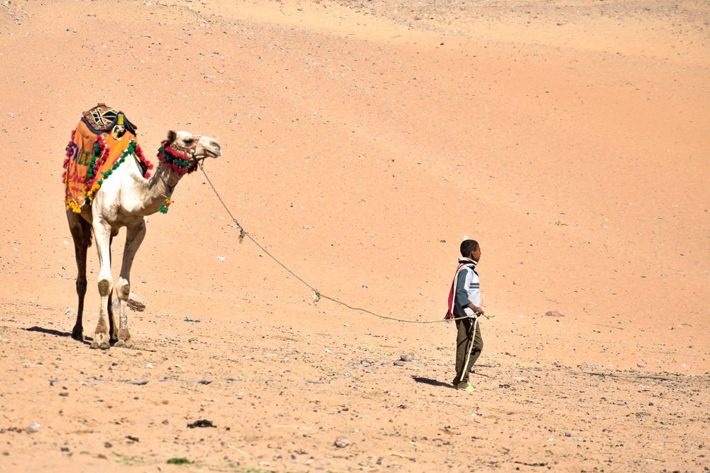 Photograph by Mohamed Dakrony