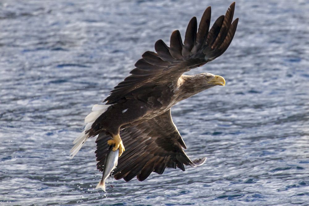 Photograph by Геннадий