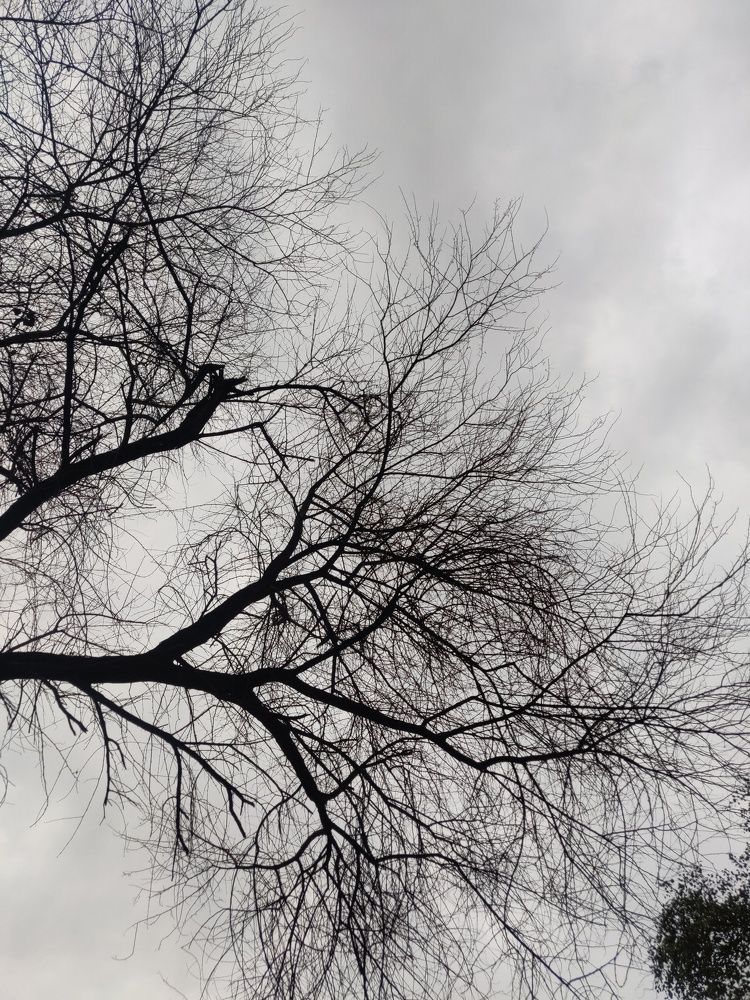 Photograph by Mahak Kalra
