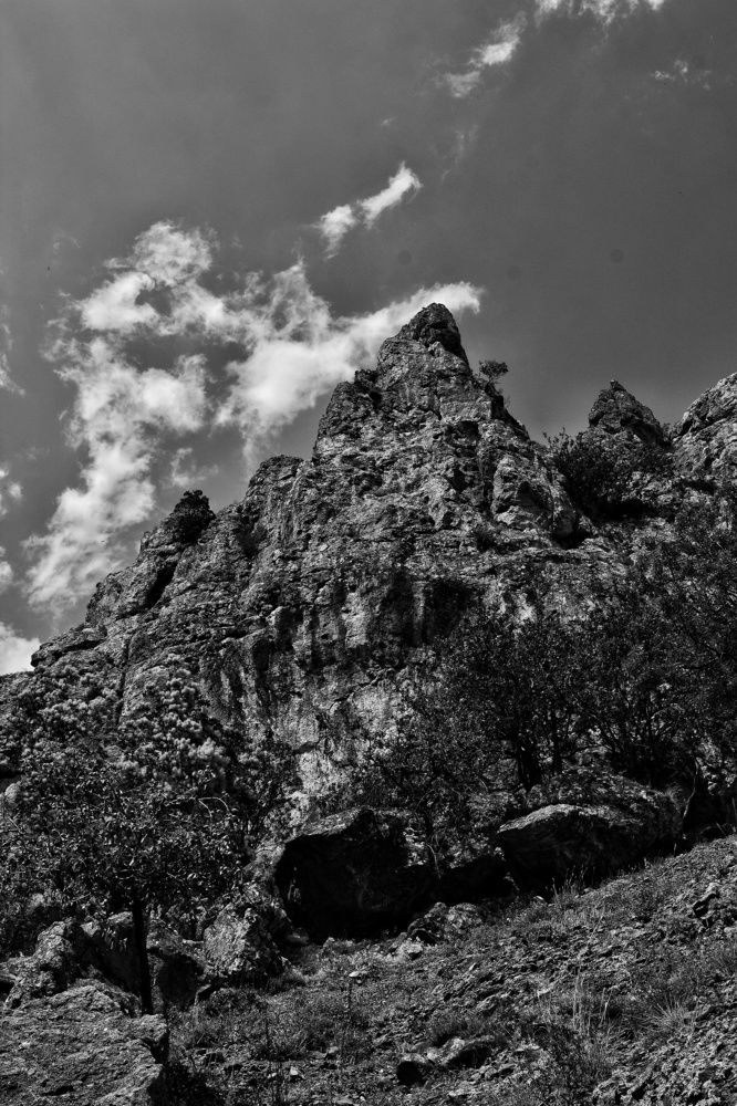 Photograph by Lielikon