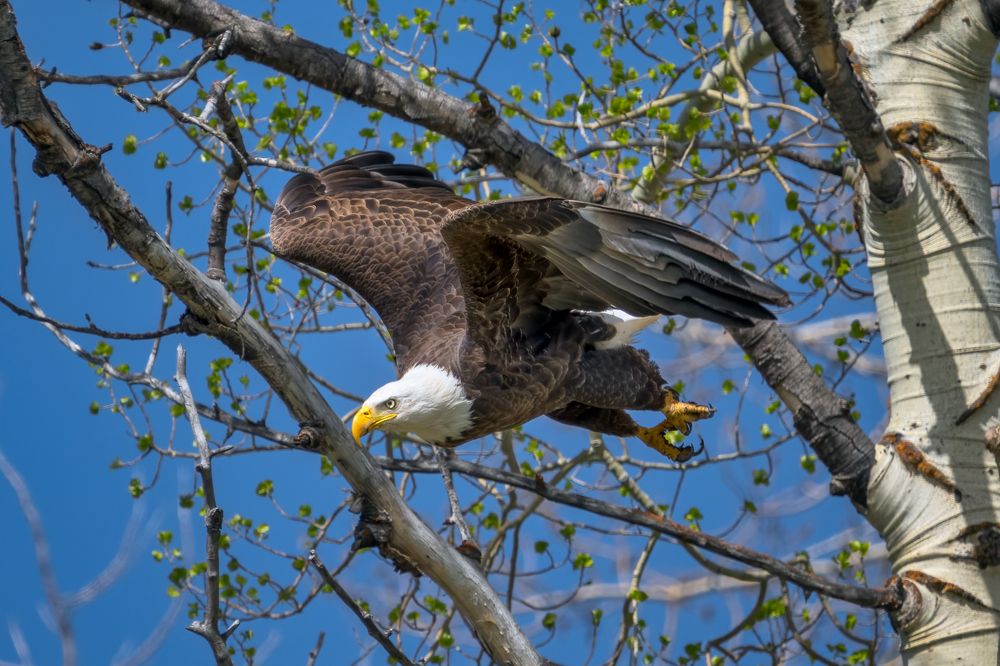 Photograph by Arie Burla