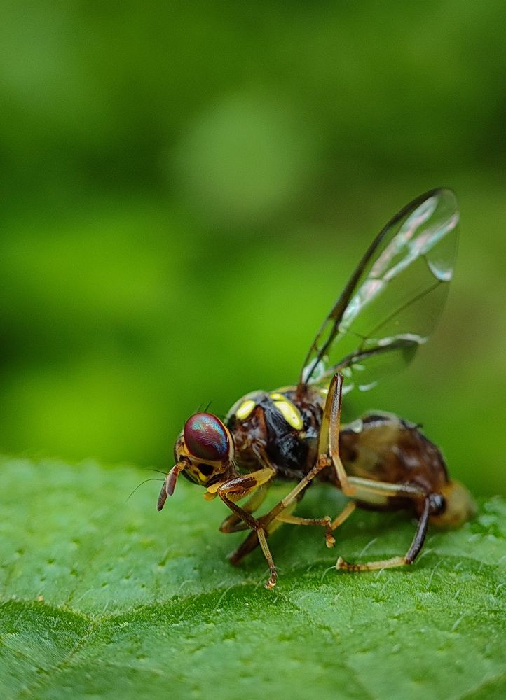 Фотография автора NEBIN REJI N