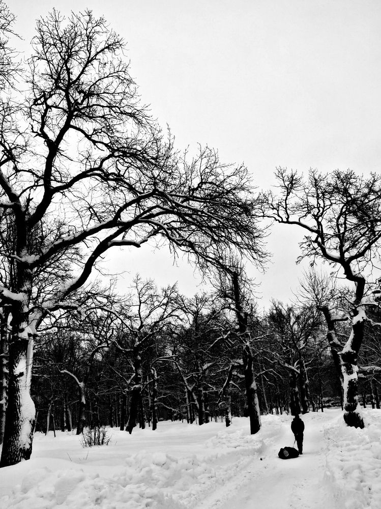 Дорогу осилит идущий.