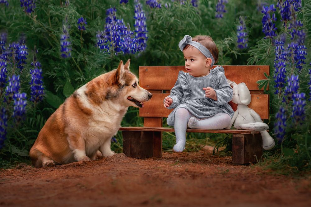 Photograph by Shiran Ben