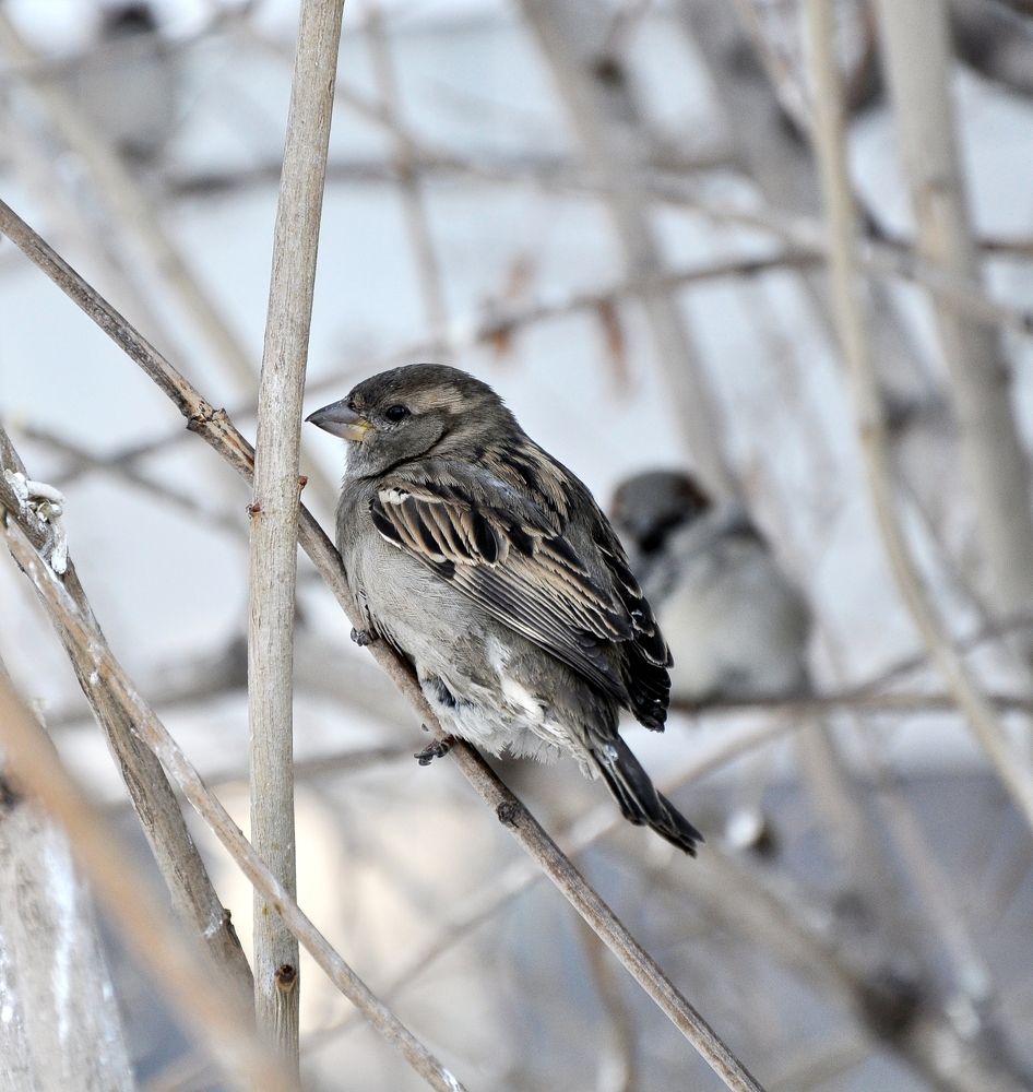 Photograph by Валерий Бурматов