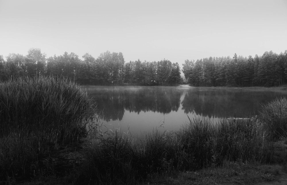 Фотография автора Aлексей Игнатьев