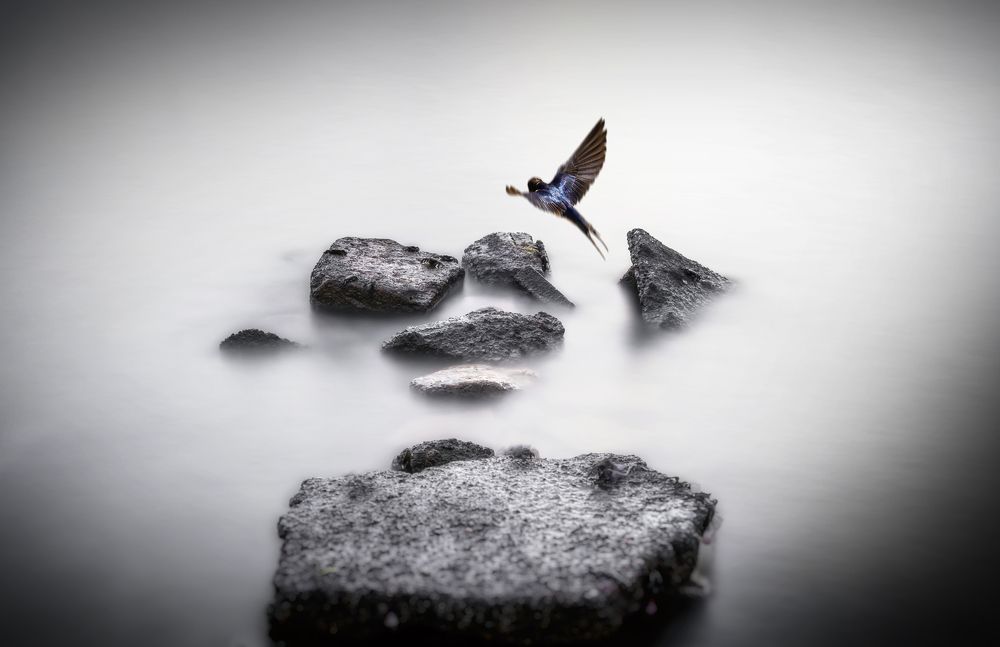 Photograph by erkan camlilar