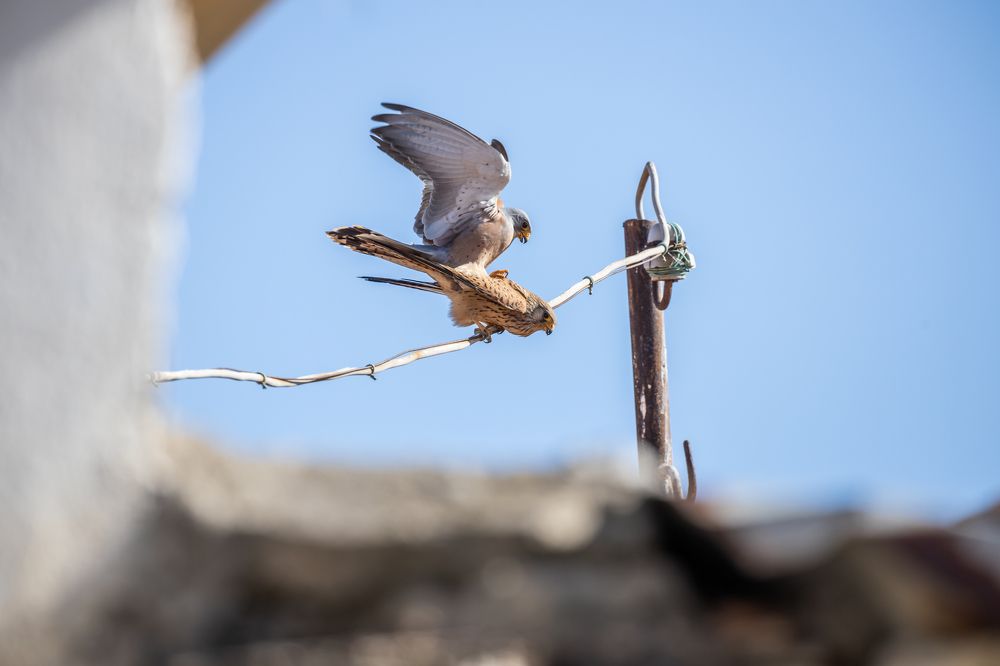 Photograph by erkan camlilar